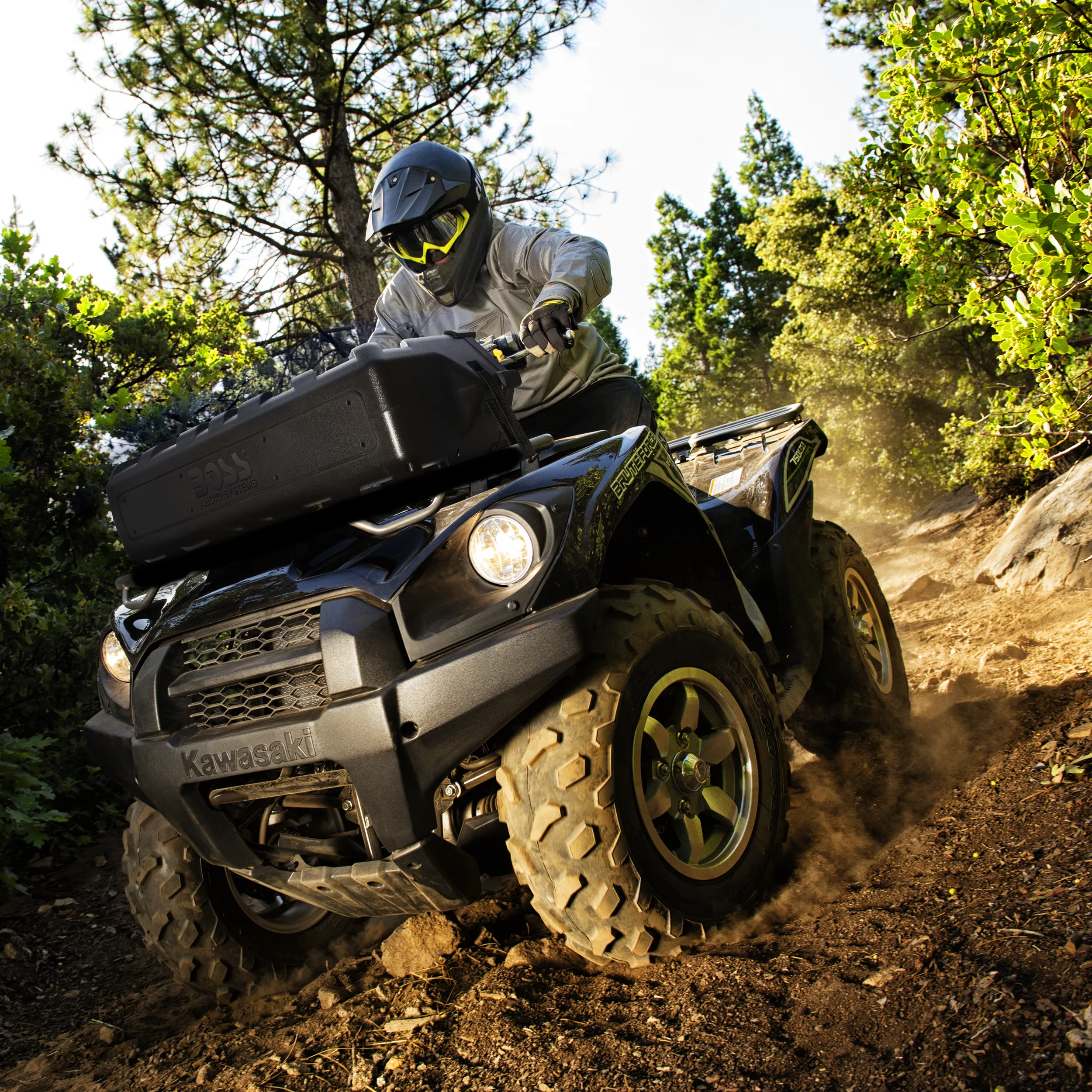 ATV30BRGB