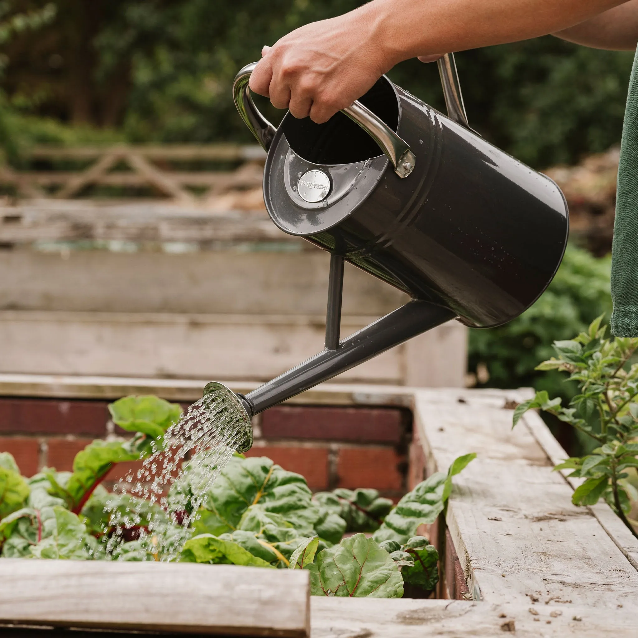 Kent & Stowe Metal Watering Can Cool Grey 4.5L