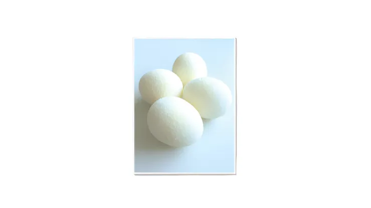 Sponge Eggs (4pk.) by Alan Wong